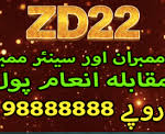 zd22 game
