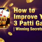 3 patti show game