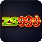 zc999 game